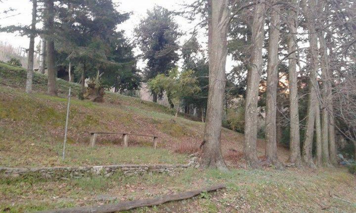 Casa Emilia Villa Stazzema Eksteriør bilde